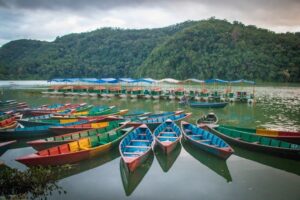 Chitwan Wildlife Safari and Pokhara Adventure Tour