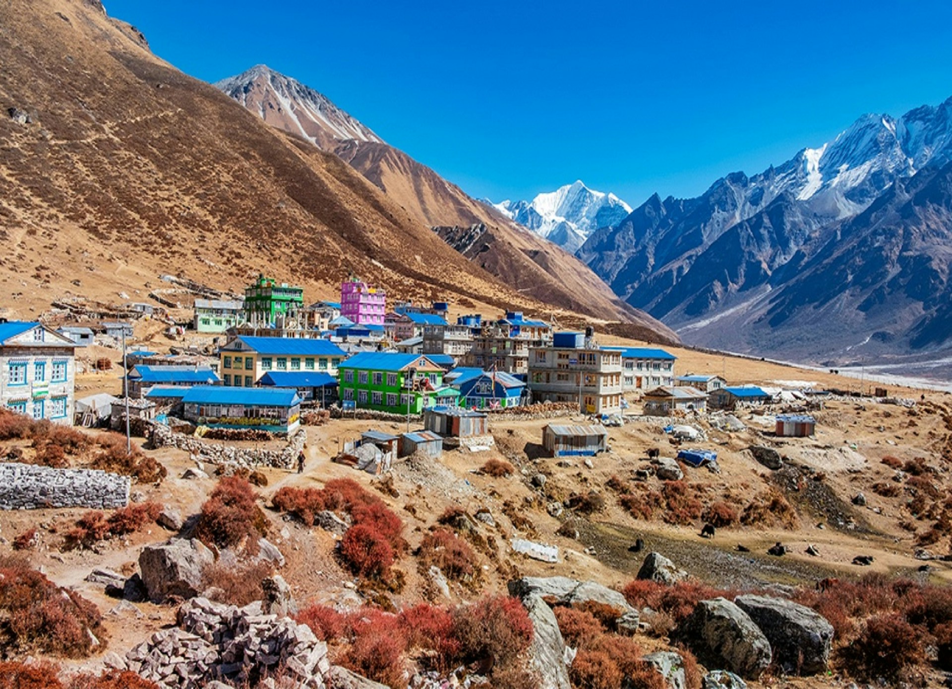 Langtang Valley tamang cultural trek