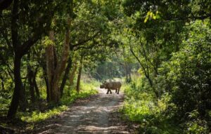 luxury nepal experience