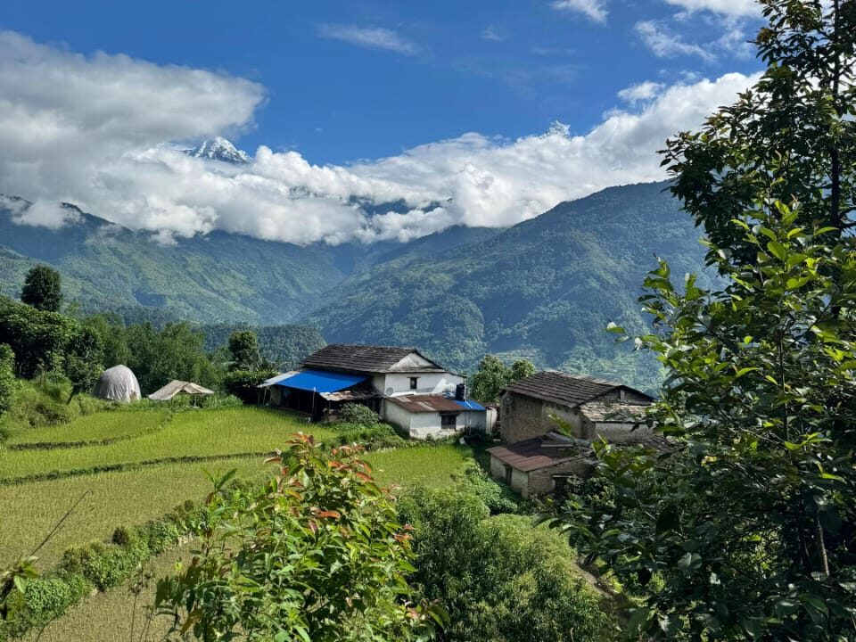 one day hike to dhampus